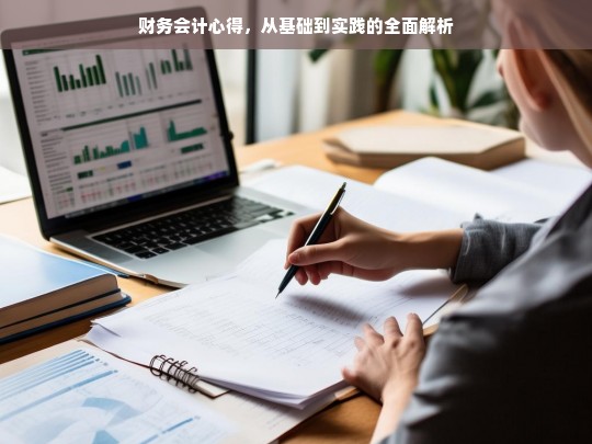 财务会计心得，从基础到实践的全面解析