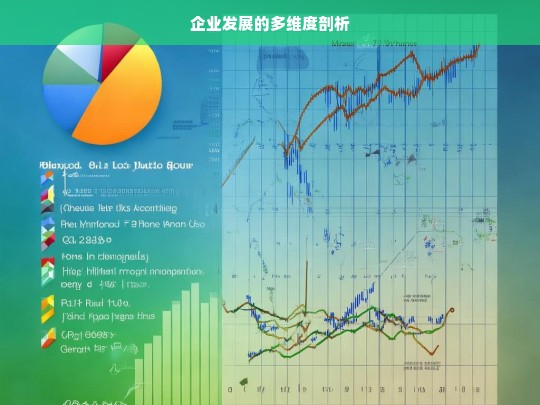 企业发展的多维度剖析