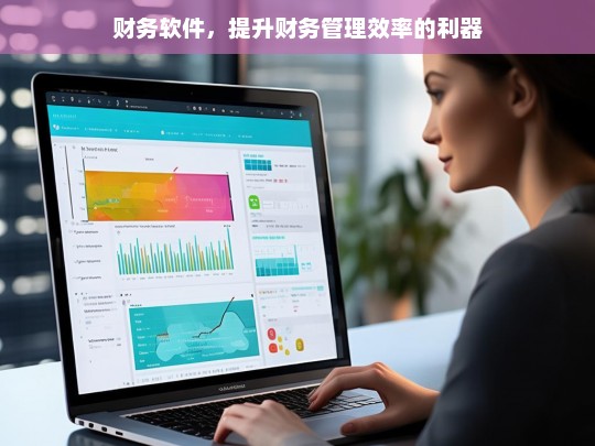 财务软件，提升财务管理效率的利器