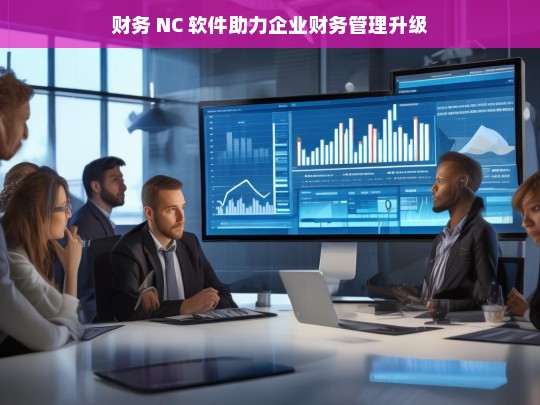 财务 NC 软件助力企业财务管理升级