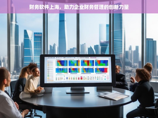 财务软件上海，助力企业财务管理的创新力量