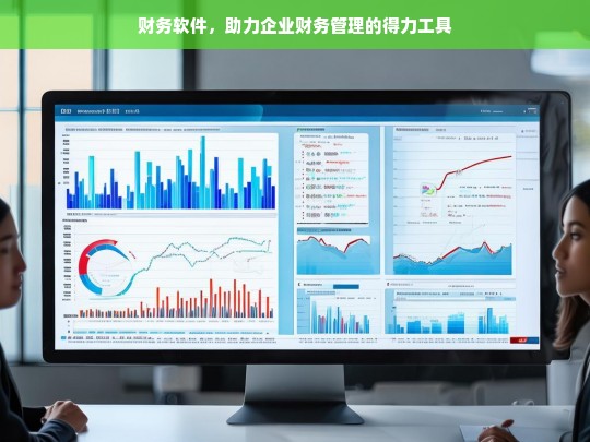 财务软件，助力企业财务管理的得力工具