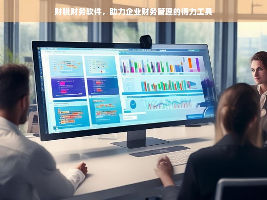 财税财务软件，助力企业财务管理的得力工具