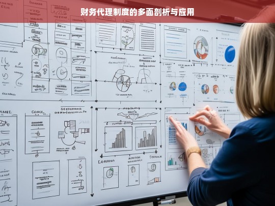 财务代理制度的多面剖析与应用