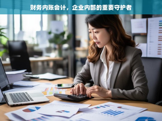 财务内账会计，企业内部的重要守护者