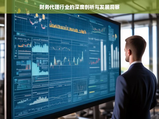 财务代理行业的深度剖析与发展洞察