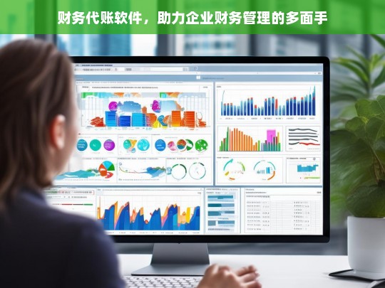 财务代账软件，助力企业财务管理的多面手