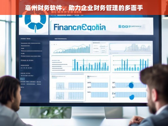 亳州财务软件，助力企业财务管理的多面手