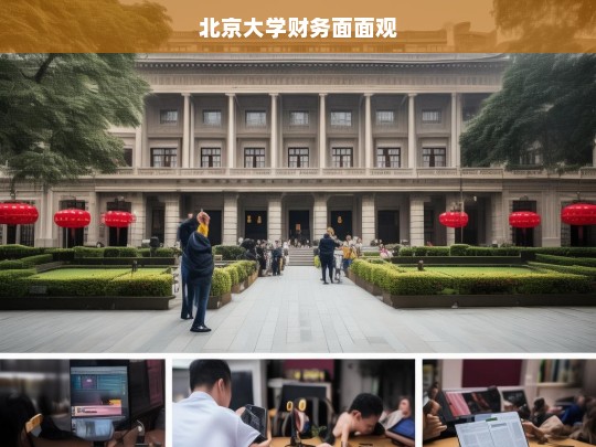 北京大学财务面面观