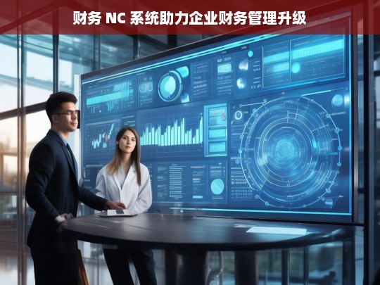 财务 NC 系统助力企业财务管理升级