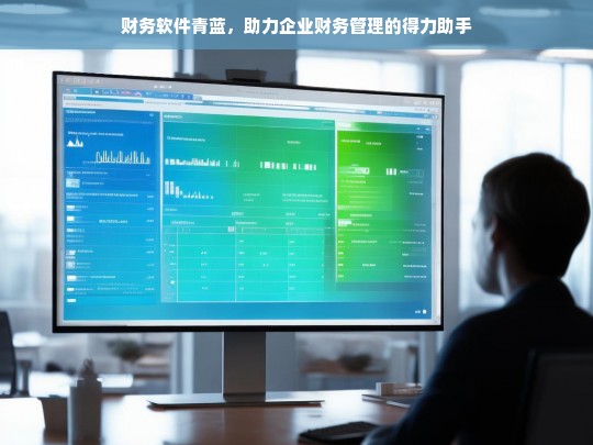 财务软件青蓝，助力企业财务管理的得力助手