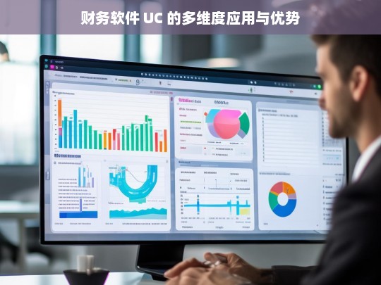 财务软件 UC 的多维度应用与优势