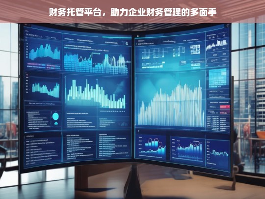 财务托管平台，助力企业财务管理的多面手