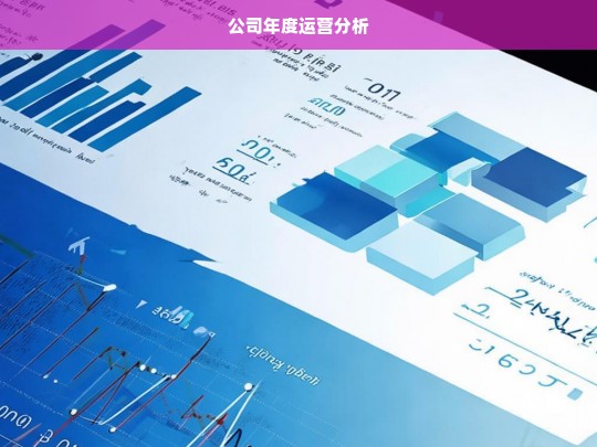 公司年度运营分析