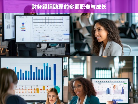 财务经理助理的多面职责与成长
