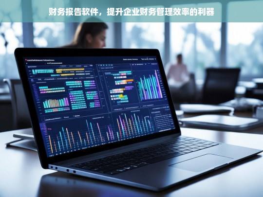 财务报告软件，提升企业财务管理效率的利器