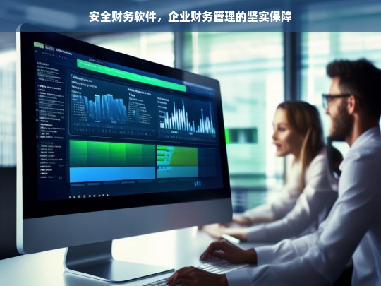 安全财务软件，企业财务管理的坚实保障