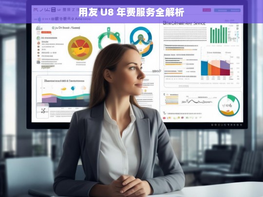 用友 U8 年费服务全解析
