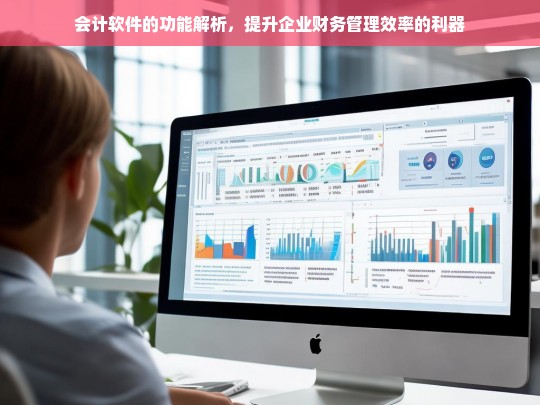 会计软件的功能解析，提升企业财务管理效率的利器