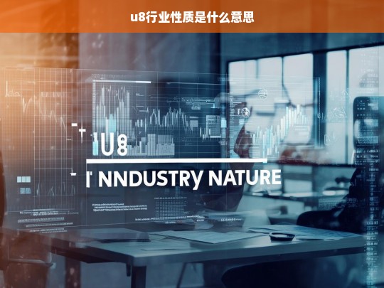 u8行业性质是什么意思