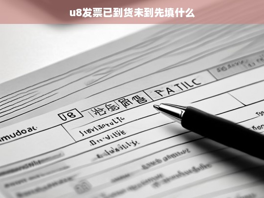 u8发票已到货未到先填什么