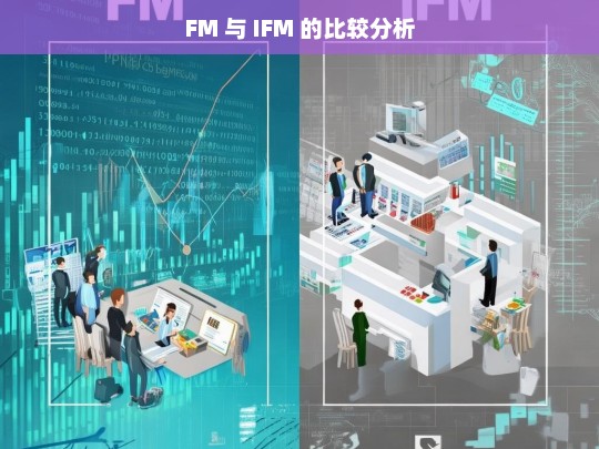 FM 与 IFM 的比较分析