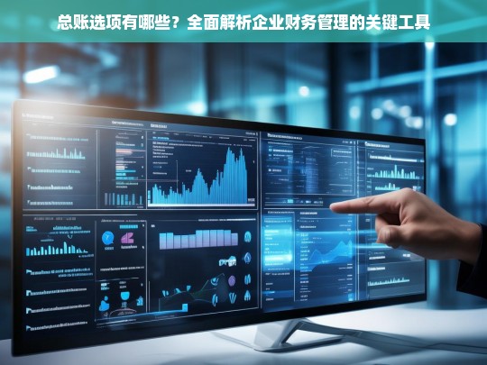 总账选项有哪些？全面解析企业财务管理的关键工具