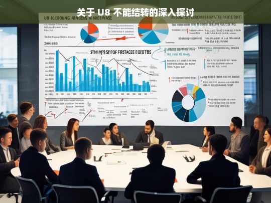 关于 U8 不能结转的深入探讨