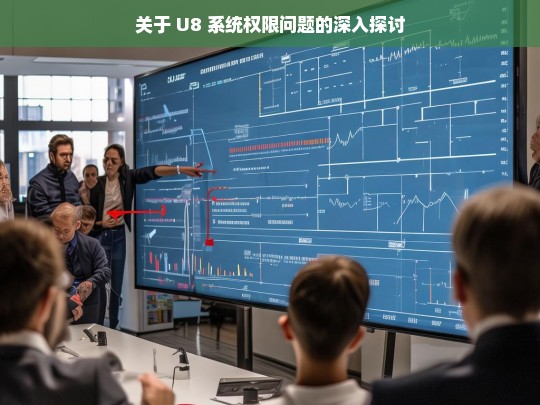 关于 U8 系统权限问题的深入探讨